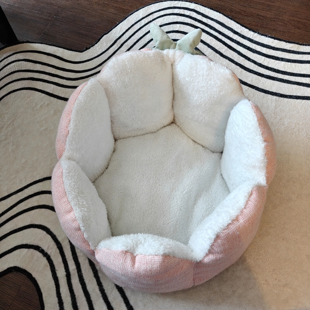cute cat bed